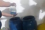 Projeto – A Ação Social e o Amor à Natureza Produzindo Liderança Sustentável